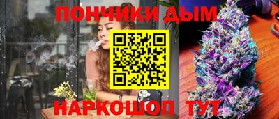 ешки Боровичи