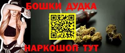 PSILOCYBIN Брянск