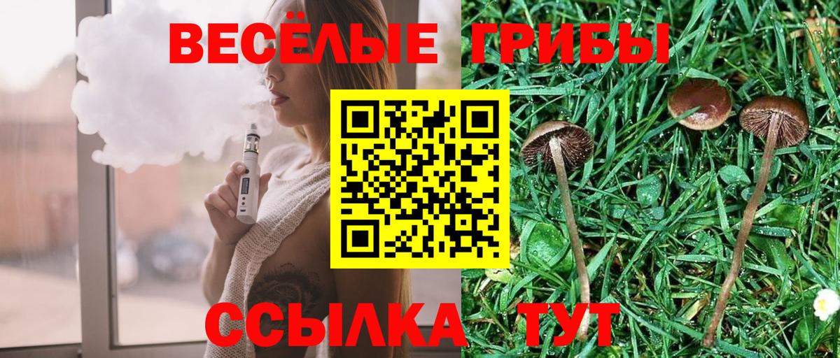 Псилоцибиновые грибы Cubensis Гурьевск